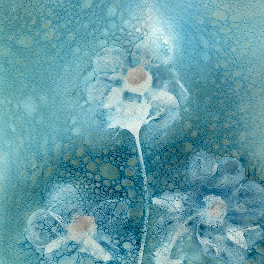 Wet Cyanotypes