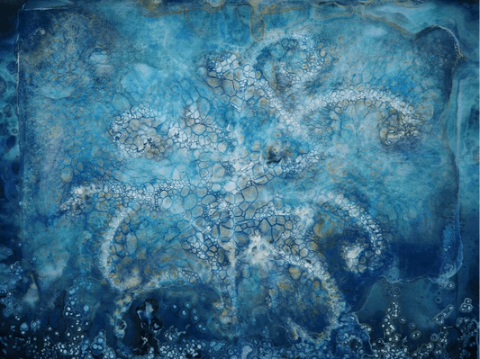 Symbiosis - handmade wet cyanotype