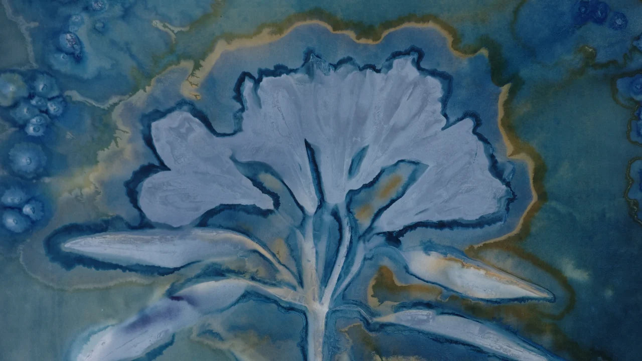 Maturing Nocturne No. 117 - Wet Cyanotype Print