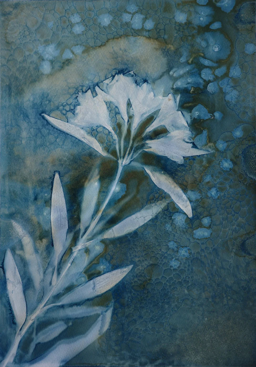 Maturing Nocturne No. 115 - Wet Cyanotype Print