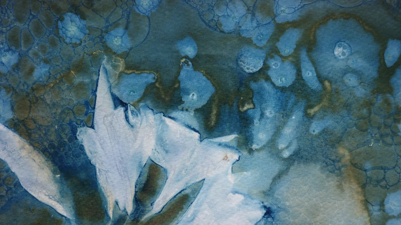Maturing Nocturne No. 115 - Wet Cyanotype Print