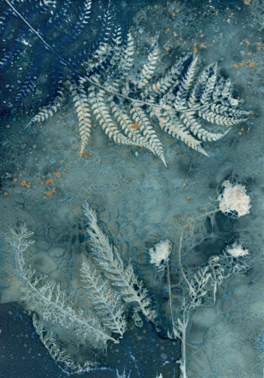 Maturing Nocturne No.26