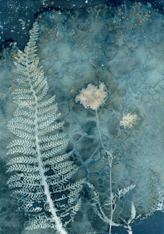 Maturing Nocturne No.27