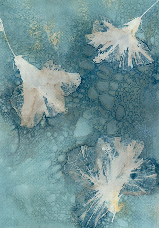 wet cyanotype ipomoea flowers turquoise blue yellow white A4