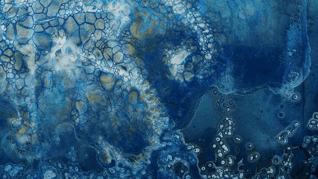 Symbiosis - handmade wet cyanotype