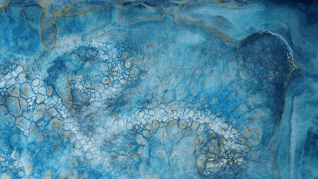 Symbiosis - handmade wet cyanotype