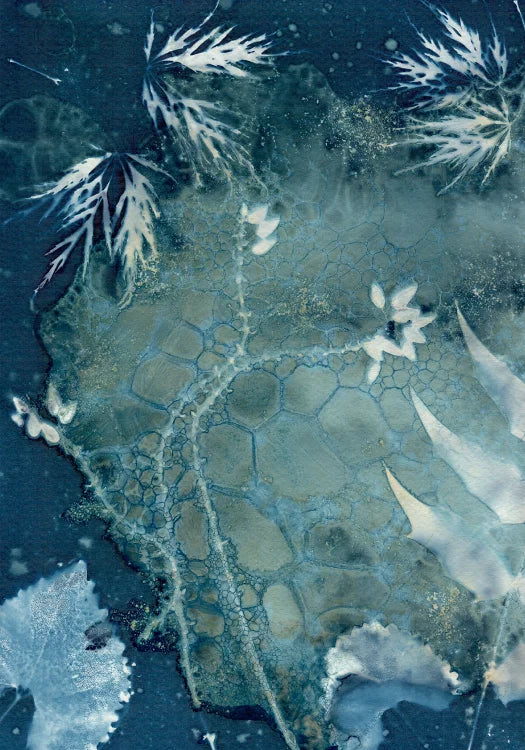 Maturing Nocturne No.24