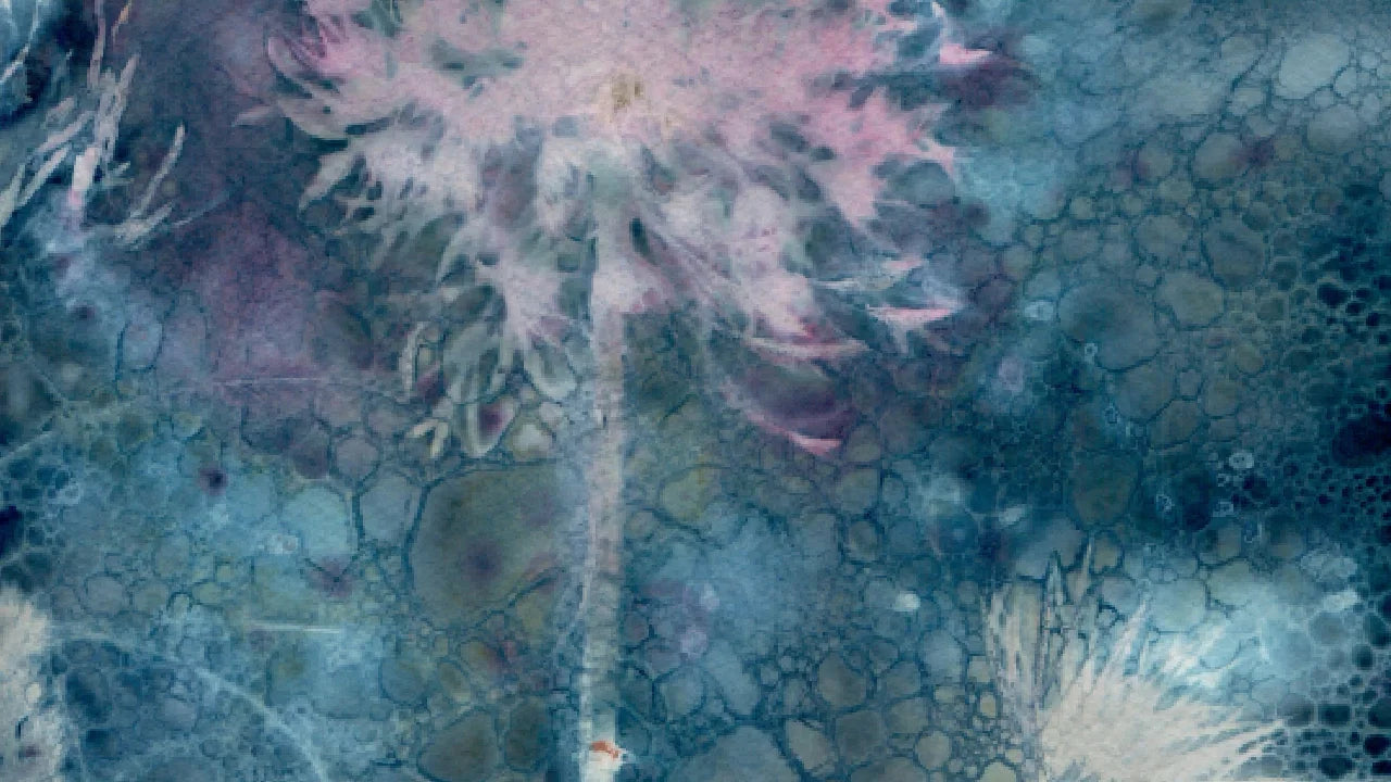 detail wet cyanotype botanical grass watercolour paper 